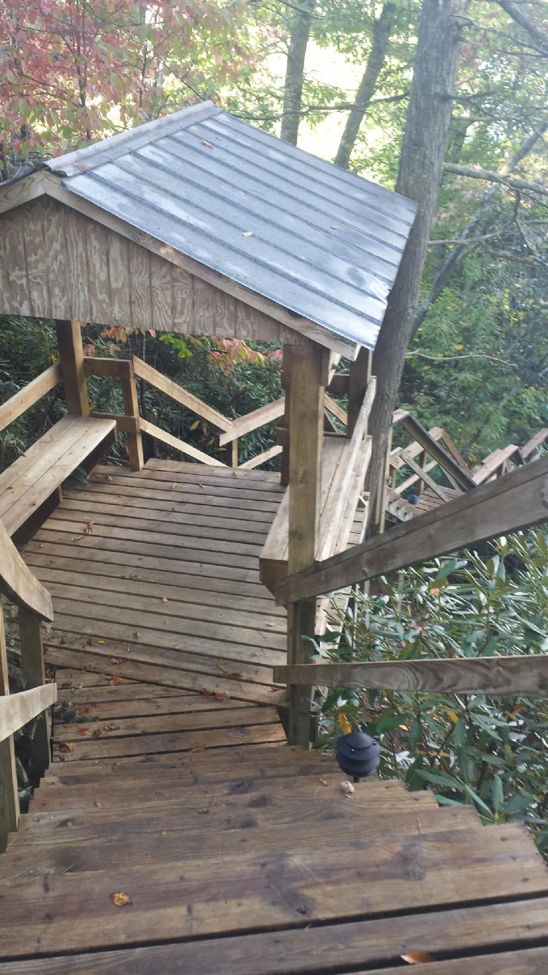 Metal roofed shelter over wooden steps on a wooded walkway in Williamston