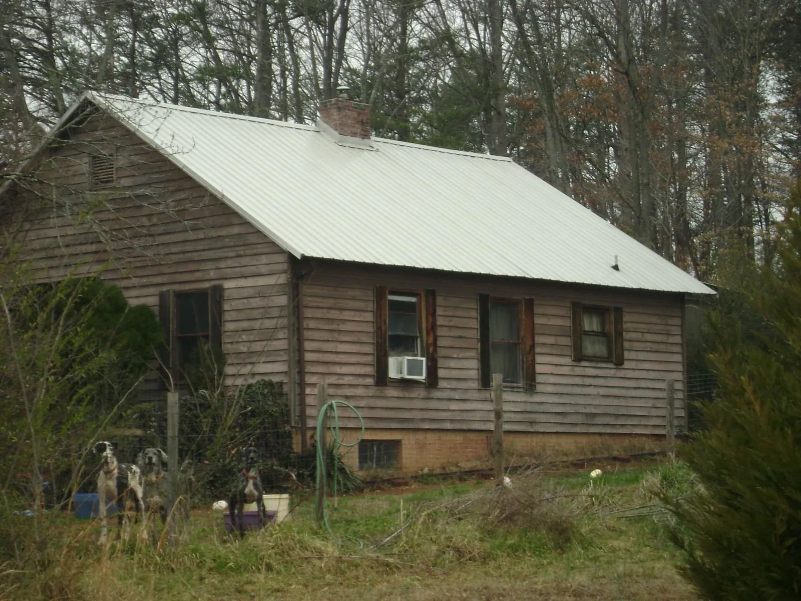 White metal roof on an old wood sided farmhouse, from a Asphalt Shingle Roof Repair job in Williamston